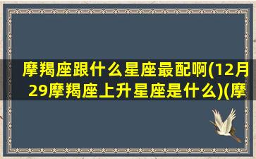 摩羯座跟什么星座最配啊(12月29摩羯座上升星座是什么)(摩羯座12月29号出生命好吗)