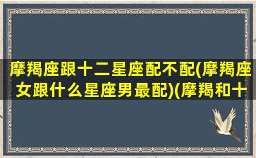 摩羯座跟十二星座配不配(摩羯座女跟什么星座男最配)(摩羯和十二星座配对)