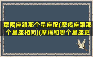 摩羯座跟那个星座配(摩羯座跟那个星座相同)(摩羯和哪个星座更配)