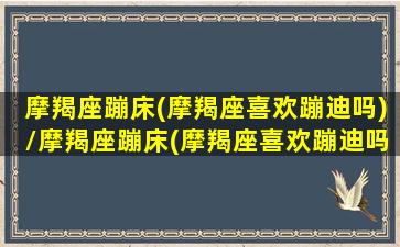 摩羯座蹦床(摩羯座喜欢蹦迪吗)/摩羯座蹦床(摩羯座喜欢蹦迪吗)-我的网站