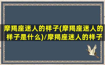 摩羯座迷人的样子(摩羯座迷人的样子是什么)/摩羯座迷人的样子(摩羯座迷人的样子是什么)-我的网站