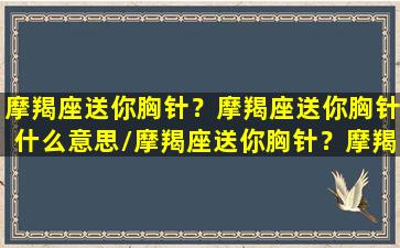 摩羯座送你胸针？摩羯座送你胸针什么意思/摩羯座送你胸针？摩羯座送你胸针什么意思-我的网站