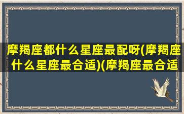 摩羯座都什么星座最配呀(摩羯座什么星座最合适)(摩羯座最合适的星座是什么)