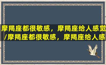 摩羯座都很敏感，摩羯座给人感觉/摩羯座都很敏感，摩羯座给人感觉-我的网站