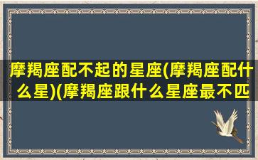 摩羯座配不起的星座(摩羯座配什么星)(摩羯座跟什么星座最不匹配)