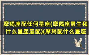 摩羯座配任何星座(摩羯座男生和什么星座最配)(摩羯配什么星座的男生)