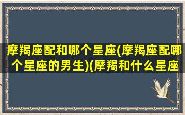 摩羯座配和哪个星座(摩羯座配哪个星座的男生)(摩羯和什么星座配)