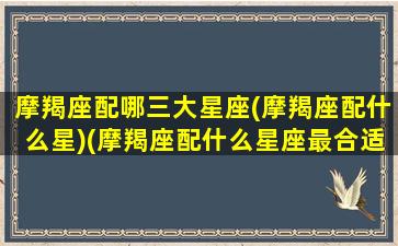 摩羯座配哪三大星座(摩羯座配什么星)(摩羯座配什么星座最合适)