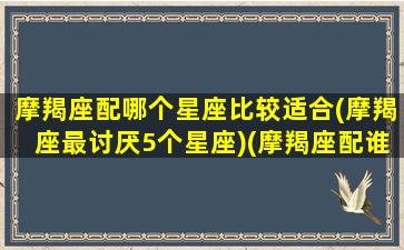 摩羯座配哪个星座比较适合(摩羯座最讨厌5个星座)(摩羯座配谁合适)