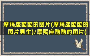 摩羯座酷酷的图片(摩羯座酷酷的图片男生)/摩羯座酷酷的图片(摩羯座酷酷的图片男生)-我的网站