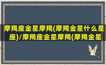 摩羯座金星摩羯(摩羯金星什么星座)/摩羯座金星摩羯(摩羯金星什么星座)-我的网站