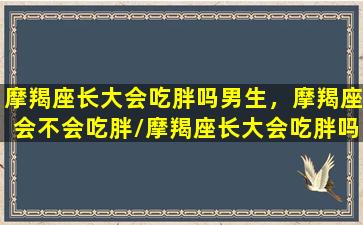 摩羯座长大会吃胖吗男生，摩羯座会不会吃胖/摩羯座长大会吃胖吗男生，摩羯座会不会吃胖-我的网站