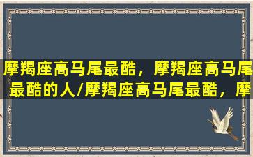 摩羯座高马尾最酷，摩羯座高马尾最酷的人/摩羯座高马尾最酷，摩羯座高马尾最酷的人-我的网站