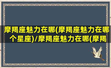 摩羯座魅力在哪(摩羯座魅力在哪个星座)/摩羯座魅力在哪(摩羯座魅力在哪个星座)-我的网站