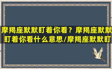 摩羯座默默盯着你看？摩羯座默默盯着你看什么意思/摩羯座默默盯着你看？摩羯座默默盯着你看什么意思-我的网站