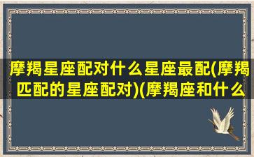 摩羯星座配对什么星座最配(摩羯匹配的星座配对)(摩羯座和什么星座最配对指数)