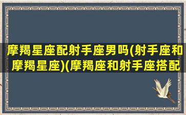 摩羯星座配射手座男吗(射手座和摩羯星座)(摩羯座和射手座搭配)