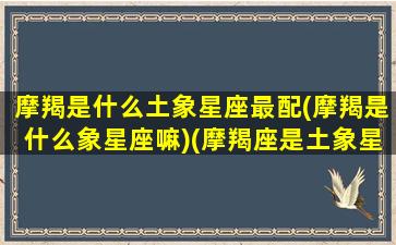 摩羯是什么土象星座最配(摩羯是什么象星座嘛)(摩羯座是土象星座还是火象星座)