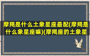 摩羯是什么土象星座最配(摩羯是什么象星座嘛)(摩羯座的土象星座)