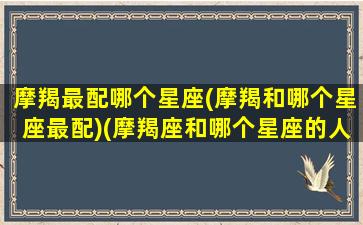 摩羯最配哪个星座(摩羯和哪个星座最配)(摩羯座和哪个星座的人最配)