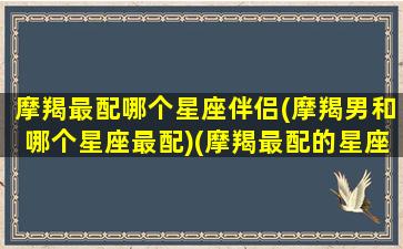摩羯最配哪个星座伴侣(摩羯男和哪个星座最配)(摩羯最配的星座男)