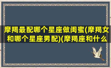 摩羯最配哪个星座做闺蜜(摩羯女和哪个星座男配)(摩羯座和什么星座做闺蜜最配)