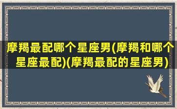 摩羯最配哪个星座男(摩羯和哪个星座最配)(摩羯最配的星座男)