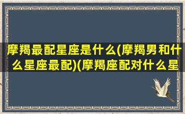 摩羯最配星座是什么(摩羯男和什么星座最配)(摩羯座配对什么星座的男生)