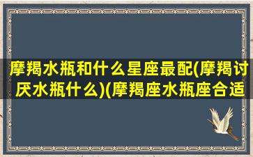 摩羯水瓶和什么星座最配(摩羯讨厌水瓶什么)(摩羯座水瓶座合适吗)