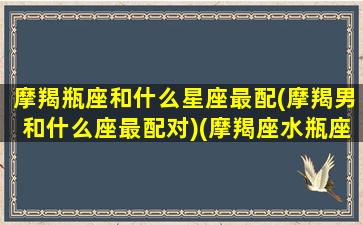 摩羯瓶座和什么星座最配(摩羯男和什么座最配对)(摩羯座水瓶座配对指数)