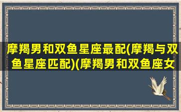 摩羯男和双鱼星座最配(摩羯与双鱼星座匹配)(摩羯男和双鱼座女在一起合适吗)