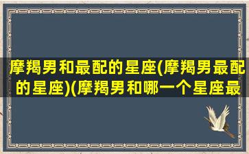 摩羯男和最配的星座(摩羯男最配的星座)(摩羯男和哪一个星座最配)