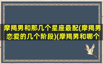 摩羯男和那几个星座最配(摩羯男恋爱的几个阶段)(摩羯男和哪个星座配对)