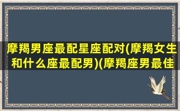 摩羯男座最配星座配对(摩羯女生和什么座最配男)(摩羯座男最佳配对星座)