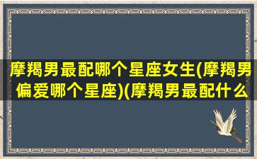 摩羯男最配哪个星座女生(摩羯男偏爱哪个星座)(摩羯男最配什么星座)