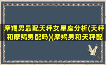 摩羯男最配天秤女星座分析(天秤和摩羯男配吗)(摩羯男和天秤配对)