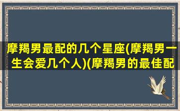 摩羯男最配的几个星座(摩羯男一生会爱几个人)(摩羯男的最佳配对星座)