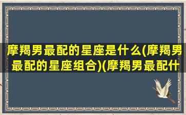 摩羯男最配的星座是什么(摩羯男最配的星座组合)(摩羯男最配什么星座女生)