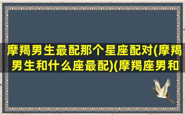 摩羯男生最配那个星座配对(摩羯男生和什么座最配)(摩羯座男和什么星座最匹配)