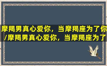 摩羯男真心爱你，当摩羯座为了你/摩羯男真心爱你，当摩羯座为了你-我的网站