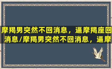 摩羯男突然不回消息，逼摩羯座回消息/摩羯男突然不回消息，逼摩羯座回消息-我的网站