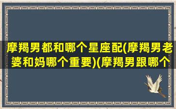 摩羯男都和哪个星座配(摩羯男老婆和妈哪个重要)(摩羯男跟哪个星座)