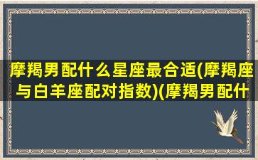 摩羯男配什么星座最合适(摩羯座与白羊座配对指数)(摩羯男配什么星座最好)