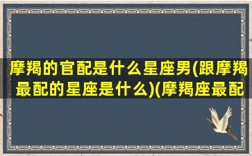 摩羯的官配是什么星座男(跟摩羯最配的星座是什么)(摩羯座最配的三大星座)