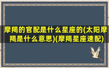 摩羯的官配是什么星座的(太阳摩羯是什么意思)(摩羯星座速配)