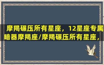 摩羯碾压所有星座，12星座专属暗器摩羯座/摩羯碾压所有星座，12星座专属暗器摩羯座-我的网站