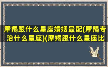 摩羯跟什么星座婚姻最配(摩羯专治什么星座)(摩羯跟什么星座比较合得来)