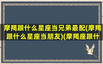 摩羯跟什么星座当兄弟最配(摩羯跟什么星座当朋友)(摩羯座跟什么星座做朋友)