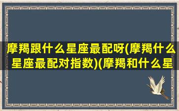 摩羯跟什么星座最配呀(摩羯什么星座最配对指数)(摩羯和什么星座比较配)