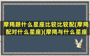 摩羯跟什么星座比较比较配(摩羯配对什么星座)(摩羯与什么星座最配对)